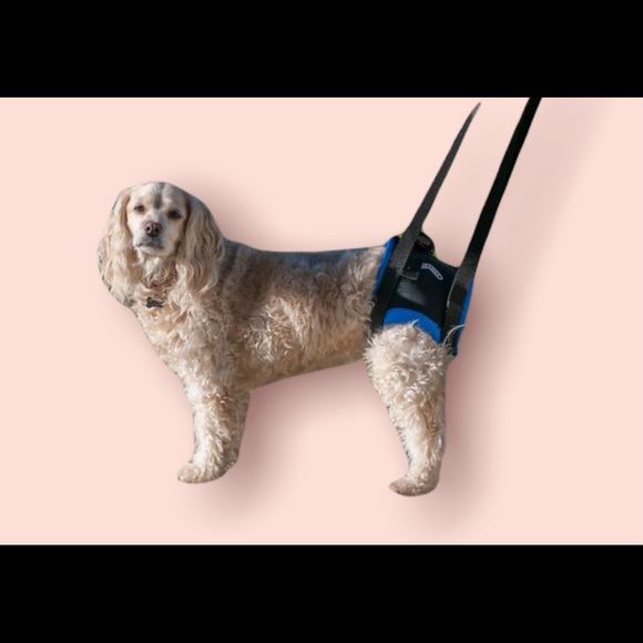 WALKABOUT Original Back End Harness, Black - Picture 4 of 5